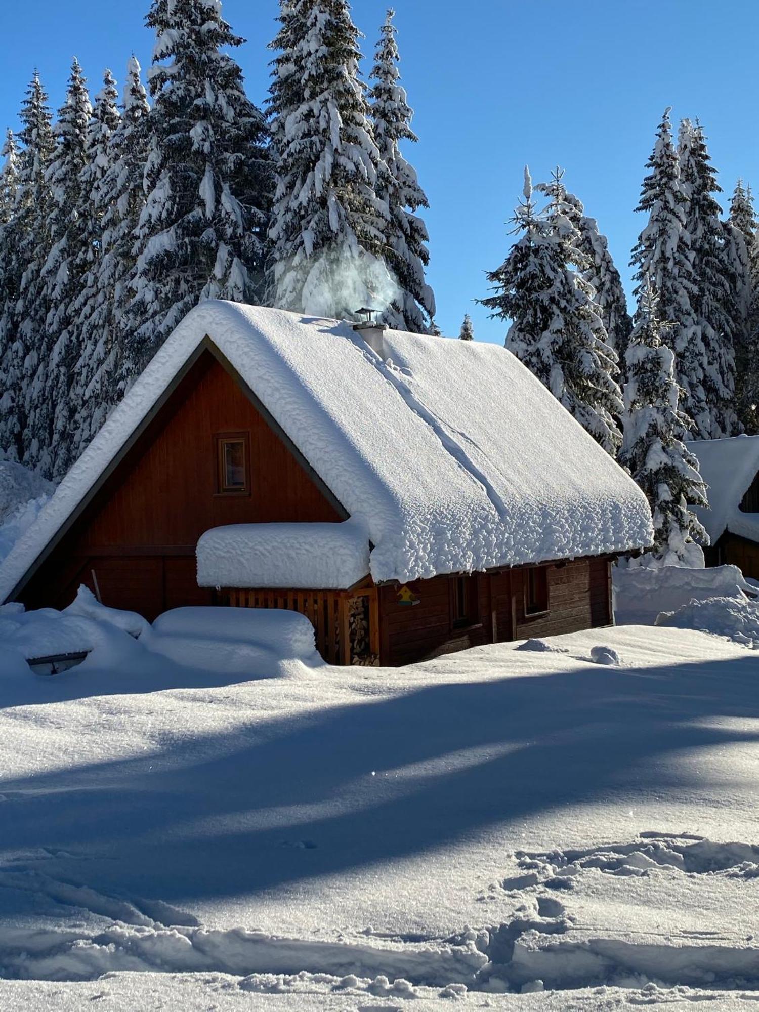Cosy Chalet On Pokljuka - Brunarica Tinkara Zgornje Gorje Exterior foto
