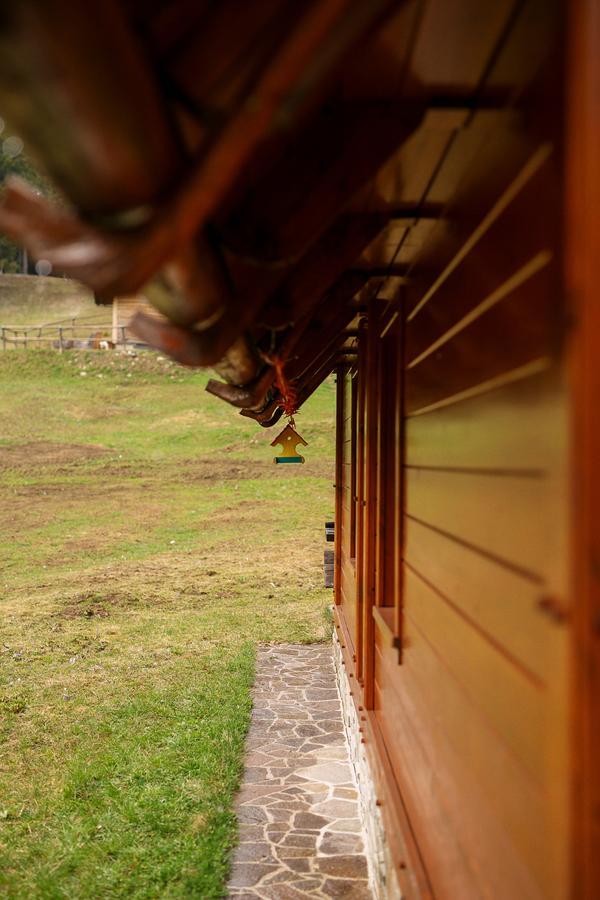 Cosy Chalet On Pokljuka - Brunarica Tinkara Zgornje Gorje Exterior foto